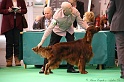 Crufts2011 408